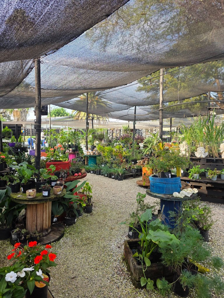 Plants